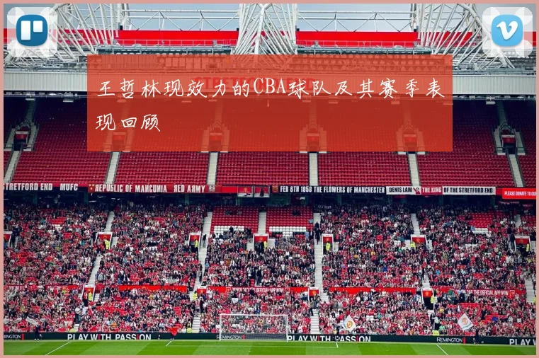 王哲林现效力的CBA球队及其赛季表现回顾